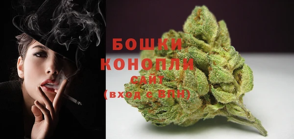 PSILOCYBIN Каменногорск